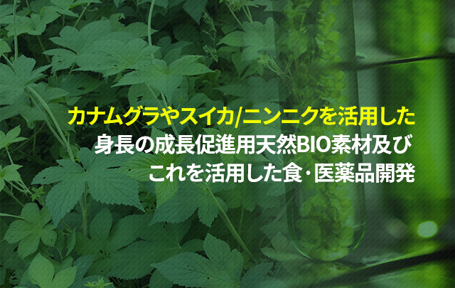 768*auto px / .jpg 권장